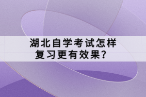 湖北自學(xué)考試怎樣復(fù)習(xí)更有效果？