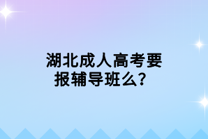 湖北成人高考要報輔導班么？
