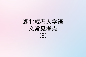 湖北成考大學(xué)語文常見考點（3）