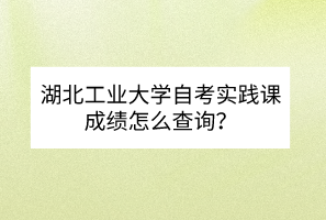 湖北工業(yè)大學(xué)自考實(shí)踐課成績(jī)?cè)趺床樵?xún)？