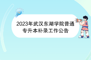 2023年武漢東湖學(xué)院普通專升本補(bǔ)錄工作公告