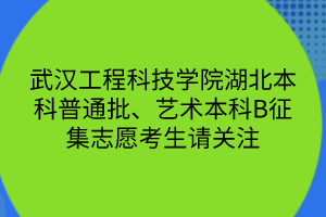 武漢工程科技學(xué)院湖北本科普通批、藝術(shù)本科B征集志愿考生請關(guān)注