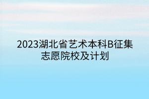 2023湖北省藝術(shù)本科B征集志愿院校及計(jì)劃