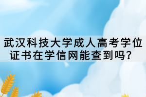 武漢科技大學(xué)成人高考學(xué)位證書在學(xué)信網(wǎng)能查到嗎？