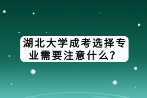 湖北大學(xué)成考選擇專業(yè)需要注意什么？