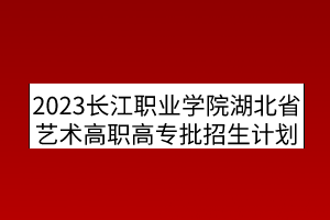 2023長(zhǎng)江職業(yè)學(xué)院湖北省藝術(shù)高職高專批招生計(jì)劃