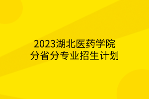 2023湖北醫(yī)藥學(xué)院分省分專業(yè)招生計劃