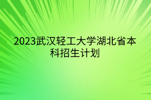 2023武漢輕工大學(xué)湖北省本科招生計(jì)劃