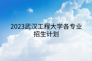 2023武漢工程大學(xué)各專業(yè)招生計(jì)劃