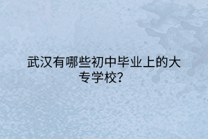 武漢有哪些初中畢業(yè)上的大專學(xué)校？