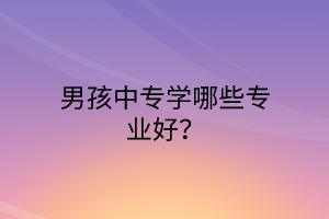 男孩中專學(xué)哪些專業(yè)好？