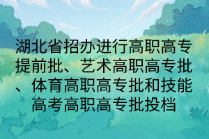 湖北省招辦進(jìn)行高職高專提前批、藝術(shù)高職高專批、體育高職高專批和技能高考高職高專批投檔