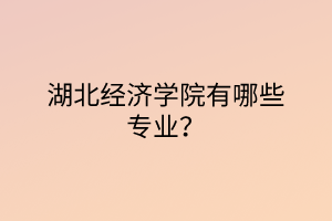 湖北經(jīng)濟學(xué)院有哪些專業(yè)？