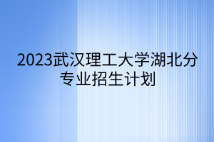 2023武漢理工大學(xué)湖北分專業(yè)招生計(jì)劃