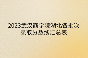 2023武漢商學(xué)院湖北各批次錄取分數(shù)線匯總表