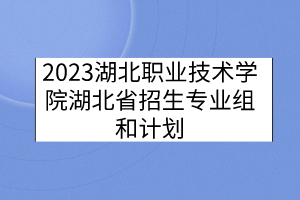 2023湖北職業(yè)技術(shù)學(xué)院湖北省招生專業(yè)組和計(jì)劃