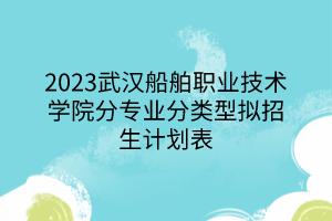 2023武漢船舶職業(yè)技術(shù)學(xué)院分專(zhuān)業(yè)分類(lèi)型擬招生計(jì)劃表