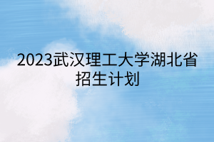 2023武漢理工大學(xué)湖北省招生計劃