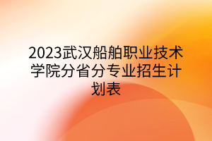 2023武漢船舶職業(yè)技術(shù)學(xué)院分省分專業(yè)招生計(jì)劃表