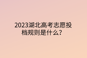 2023湖北高考志愿投檔規(guī)則是什么？