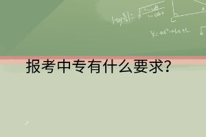 報考中專有什么要求？