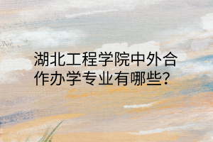 湖北工程學(xué)院中外合作辦學(xué)專業(yè)有哪些？