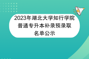 2023年湖北大學(xué)知行學(xué)院普通專升本補錄預(yù)錄取名單公示