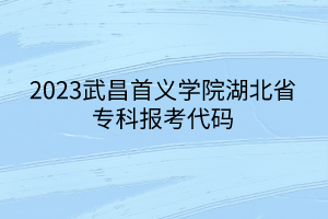 2023武昌首義學院湖北省?？茍罂即a