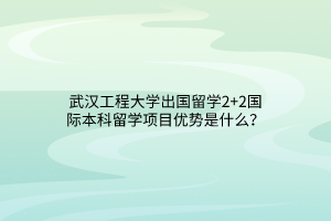 武漢工程大學(xué)出國(guó)留學(xué)2+2國(guó)際本科留學(xué)項(xiàng)目?jī)?yōu)勢(shì)是什么？