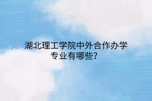 湖北理工學院中外合作辦學專業(yè)有哪些？