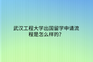 武漢工程大學(xué)出國留學(xué)申請流程是怎么樣的？