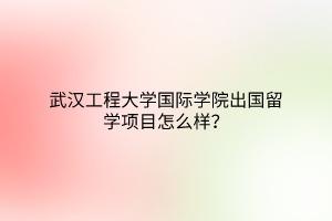 武漢工程大學(xué)國(guó)際學(xué)院出國(guó)留學(xué)項(xiàng)目怎么樣？