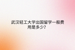 武漢輕工大學(xué)出國(guó)留學(xué)一般費(fèi)用是多少？