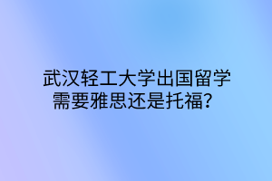 武漢輕工大學(xué)出國(guó)留學(xué)需要雅思還是托福？