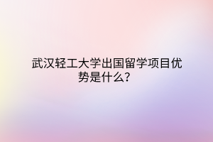武漢輕工大學出國留學項目優(yōu)勢是什么？