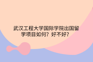 武漢工程大學(xué)國(guó)際學(xué)院出國(guó)留學(xué)項(xiàng)目如何？好不好？