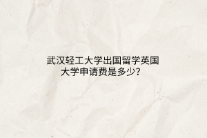 武漢輕工大學出國留學英國大學申請費是多少？