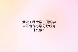 武漢工程大學(xué)出國留學(xué)中外合作辦學(xué)分?jǐn)?shù)線為什么低？