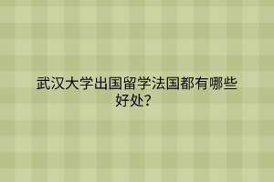 武漢大學(xué)出國留學(xué)法國都有哪些好處？