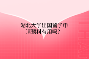 湖北大學出國留學申請預科有用嗎？