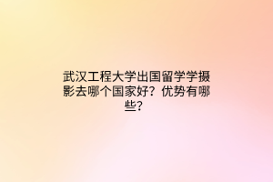 武漢工程大學(xué)出國留學(xué)學(xué)攝影去哪個(gè)國家好？優(yōu)勢有哪些？