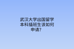 武漢大學(xué)出國(guó)留學(xué)本科插班生該如何申請(qǐng)？