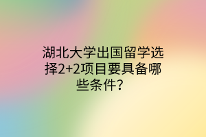 湖北大學(xué)出國(guó)留學(xué)選擇2+2項(xiàng)目要具備哪些條件？