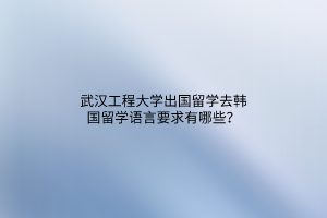 武漢工程大學(xué)出國(guó)留學(xué)去韓國(guó)留學(xué)語(yǔ)言要求有哪些？