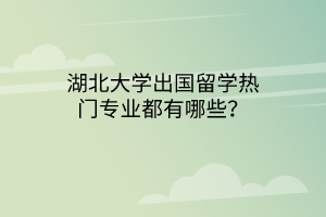 湖北大學(xué)出國留學(xué)熱門專業(yè)都有哪些？