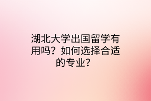 湖北大學(xué)出國(guó)留學(xué)有用嗎？如何選擇合適的專業(yè)？