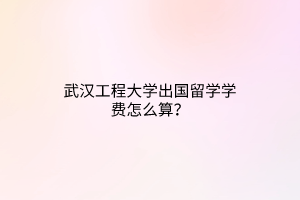 武漢工程大學出國留學學費怎么算？