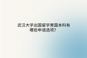 武漢大學(xué)出國(guó)留學(xué)美國(guó)本科有哪些申請(qǐng)選項(xiàng)？