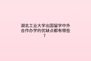 湖北工業(yè)大學(xué)出國留學(xué)中外合作辦學(xué)的優(yōu)缺點都有哪些？