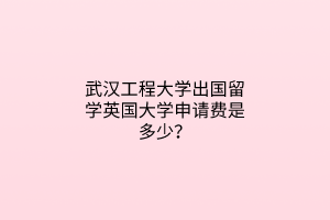 武漢工程大學(xué)出國(guó)留學(xué)英國(guó)大學(xué)申請(qǐng)費(fèi)是多少？